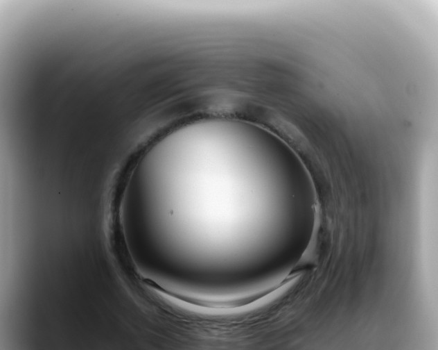 X0000088740728200706071659