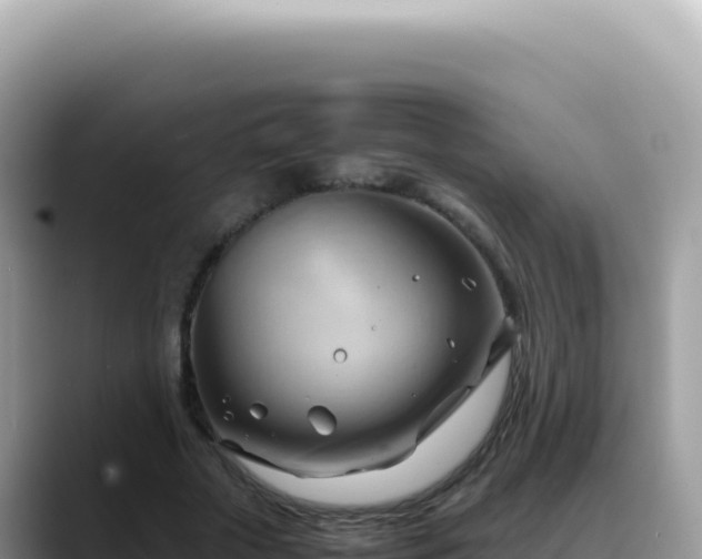 X0000088740729200706071659
