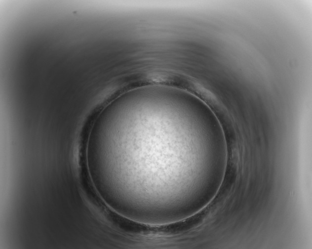 X0000088740730200706071659
