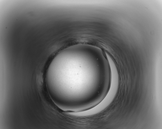 X0000088740731200706071659