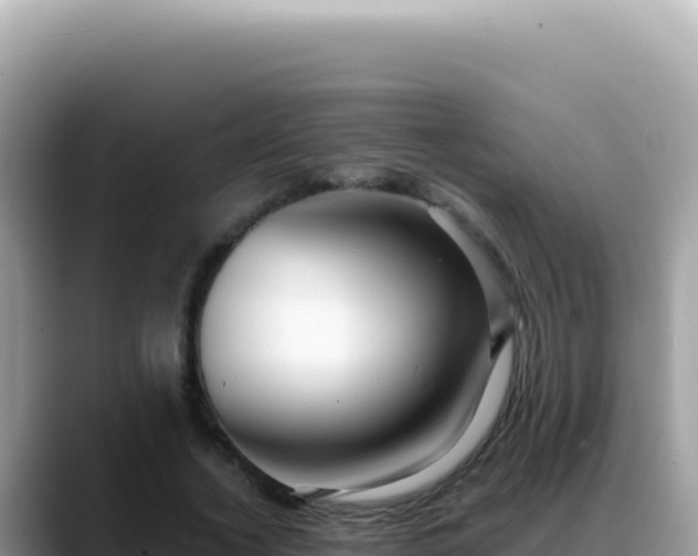 X0000088740732200706071659