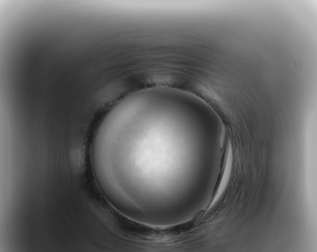 X0000088740735200706071659