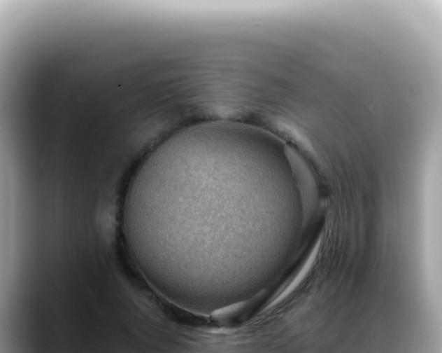 X0000088740736200706071659