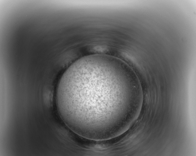 X0000088740739200706071659