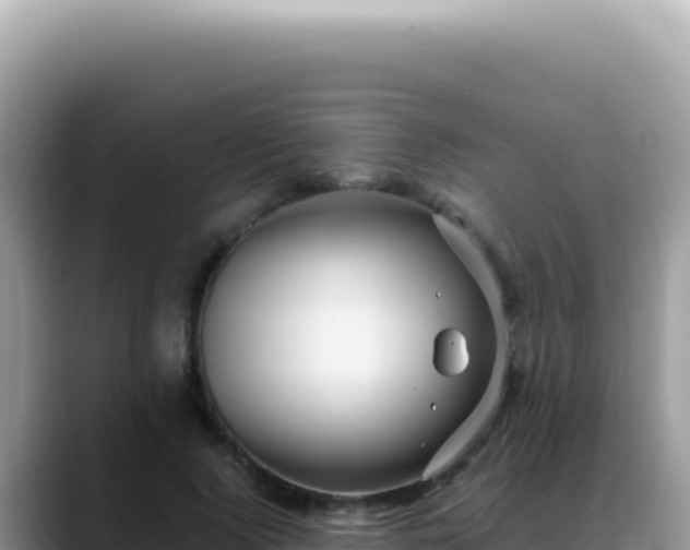 X0000088740740200706071659
