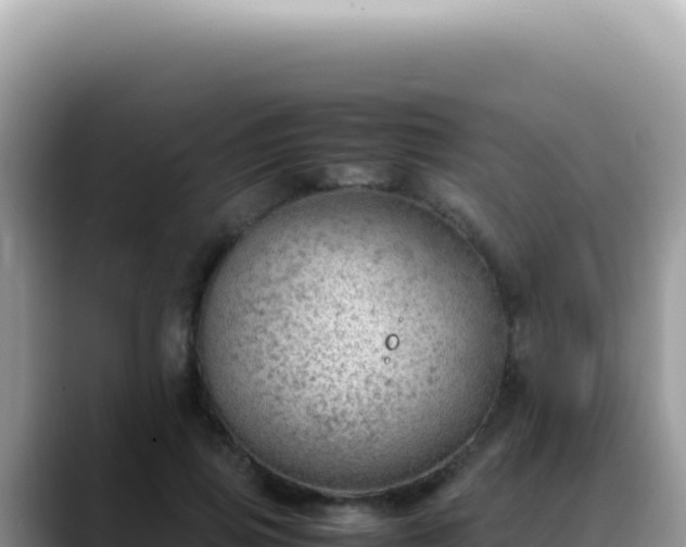 X0000088740741200706071659