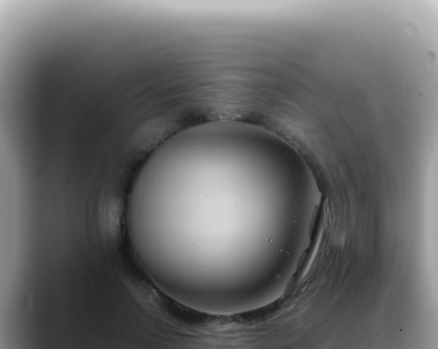 X0000088740742200706071659
