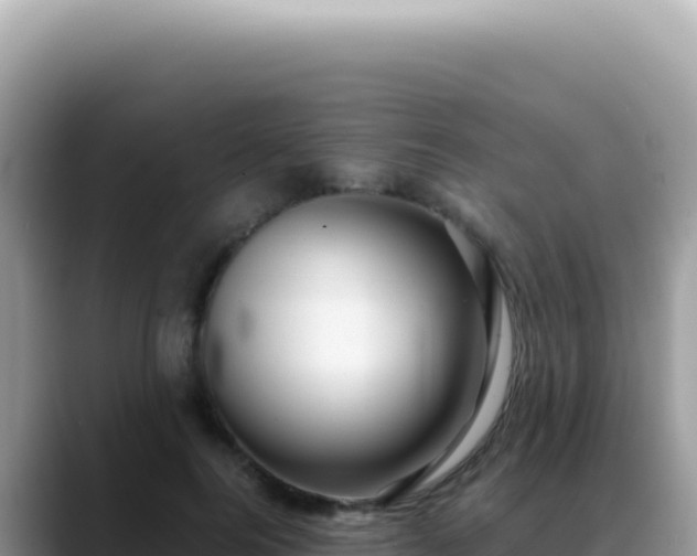 X0000088740744200706071659
