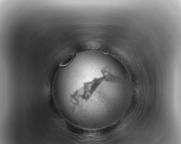 X0000088740745200706071659