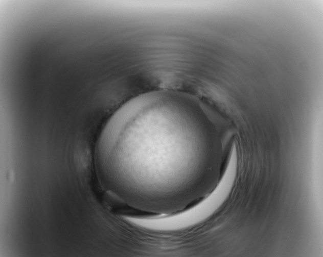 X0000088740748200706071659