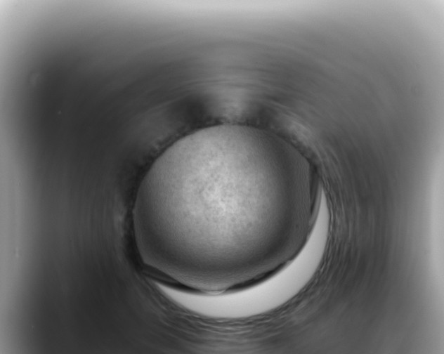 X0000088740750200706071659