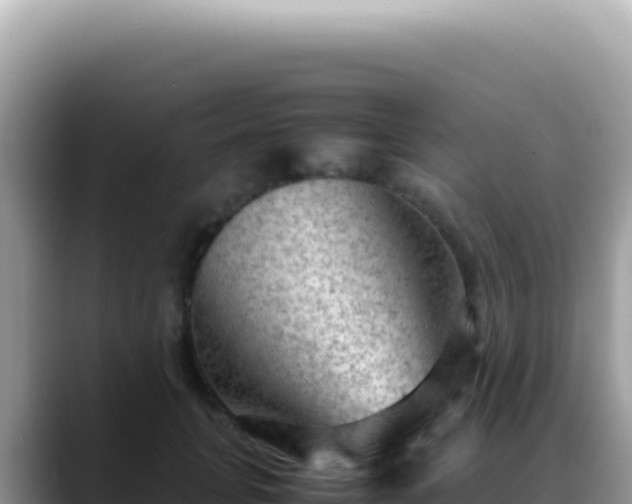 X0000088740751200706071659