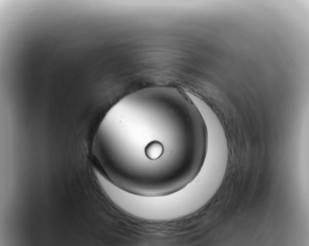 X0000088740752200706071659