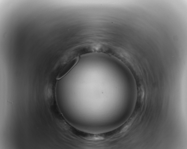 X0000088740754200706071659
