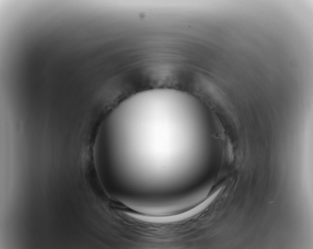 X0000088740756200706071659
