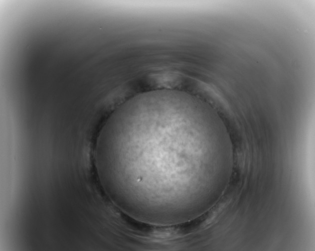 X0000088740757200706071659
