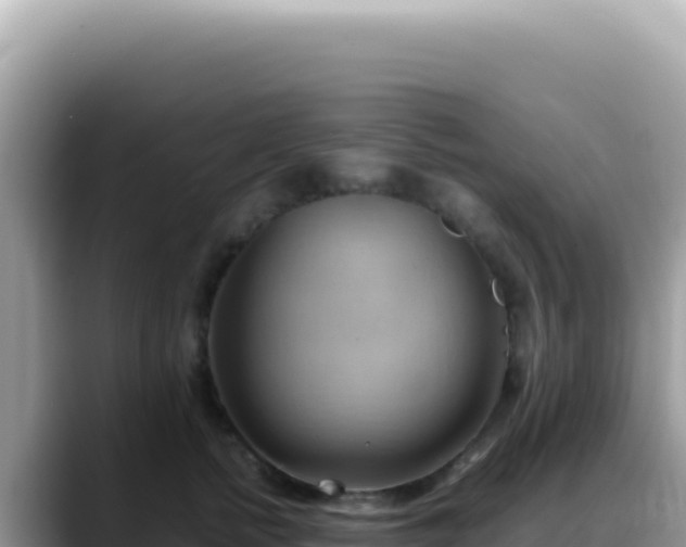 X0000088740758200706071700
