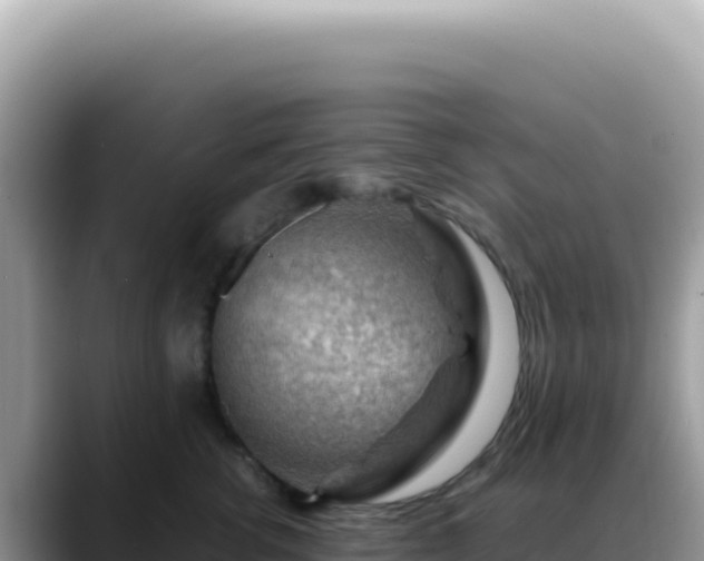 X0000088740762200706071700