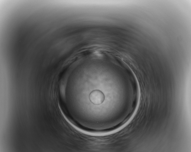 X0000088740763200706071700