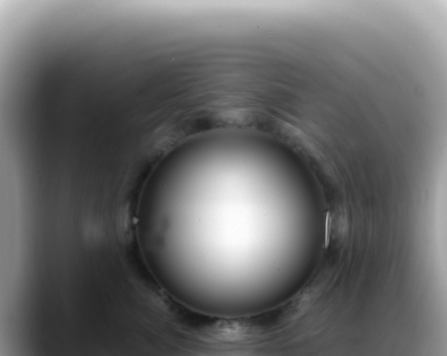 X0000088740764200706071700