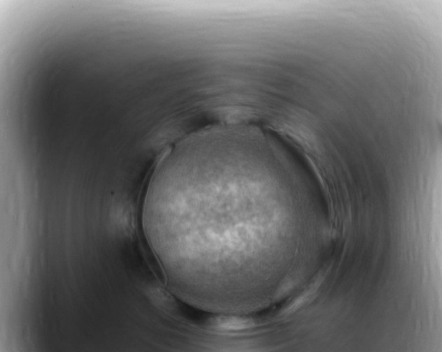 X0000088740766200706071700
