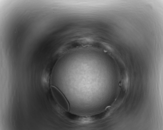 X0000088740767200706071700