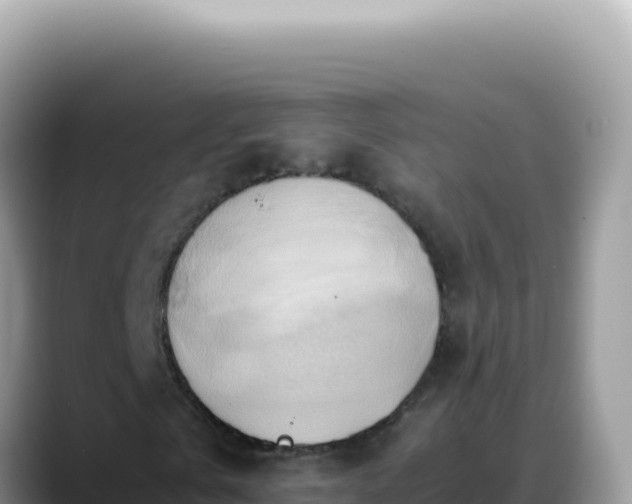 X0000088740769200706071659