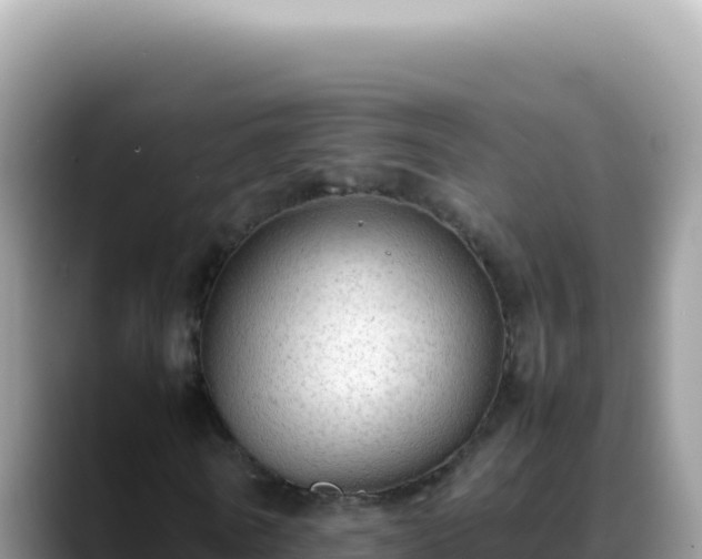 X0000088740770200706071659