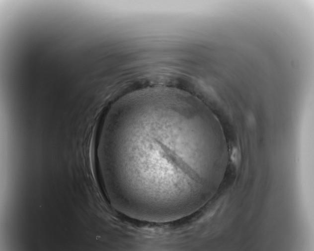 X0000088740771200706071659