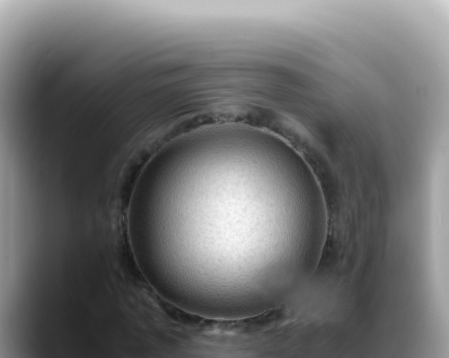 X0000088740773200706071659