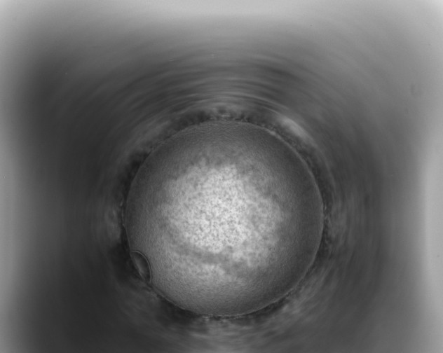 X0000088740774200706071659