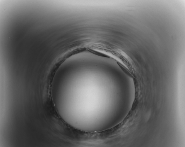 X0000088740775200706071659