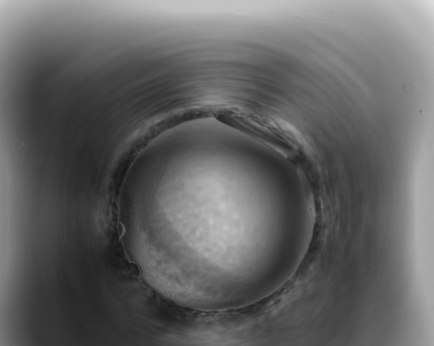 X0000088740776200706071659