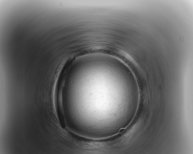 X0000088740777200706071659
