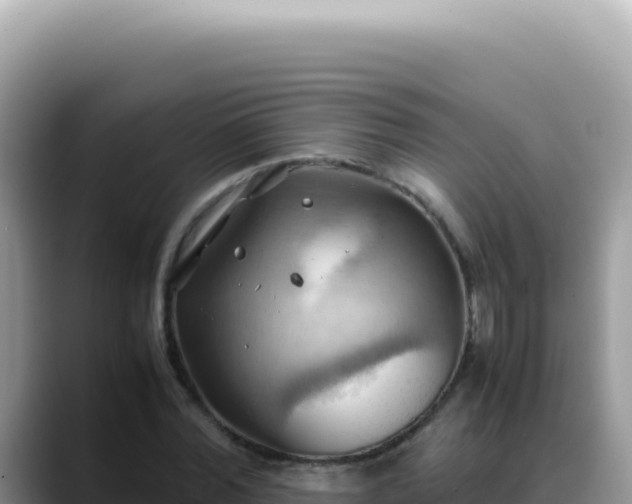 X0000088740780200706071659