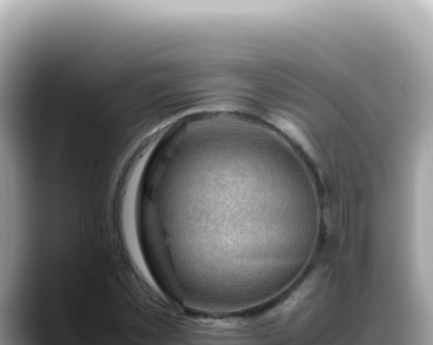 X0000088740781200706071659
