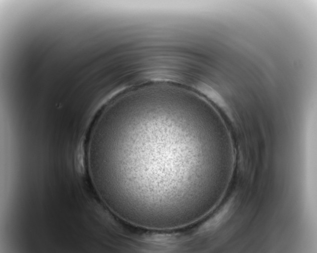 X0000088740782200706071659