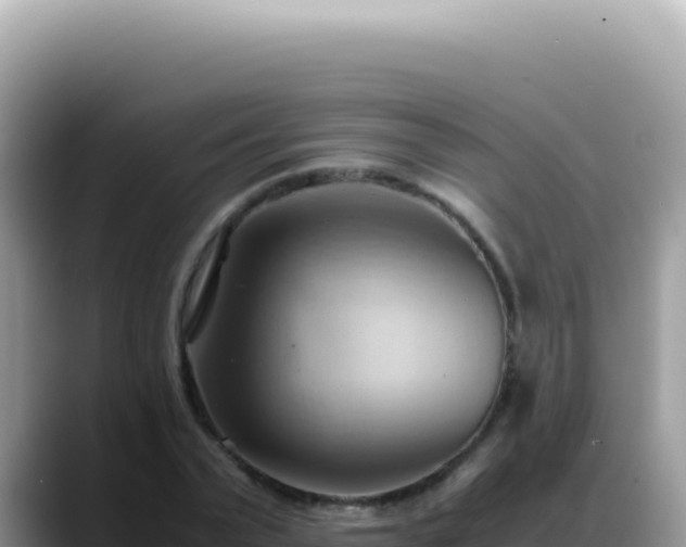 X0000088740783200706071659