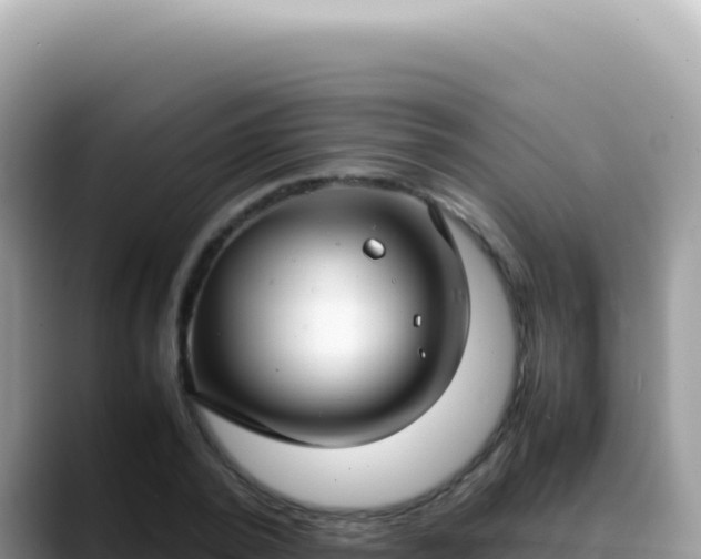 X0000088740784200706071659