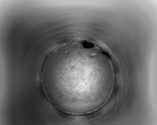 X0000088740785200706071659