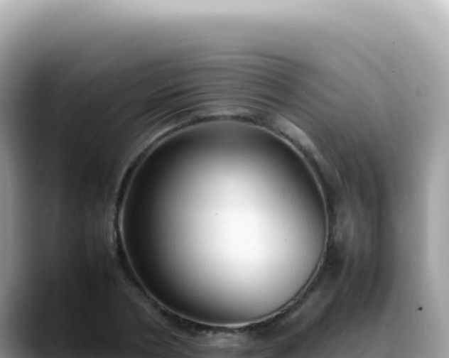 X0000088740786200706071659