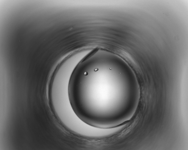 X0000088740788200706071659