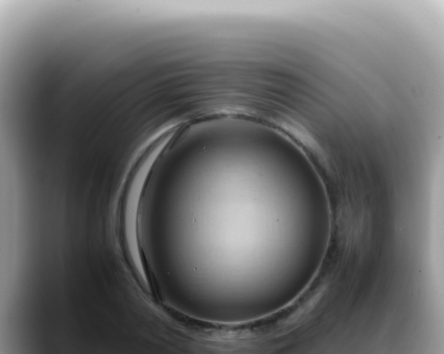 X0000088740790200706071659