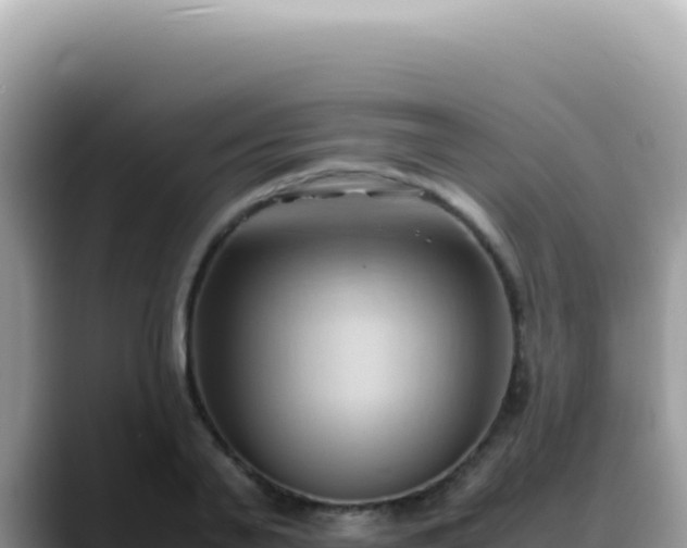 X0000088740791200706071659