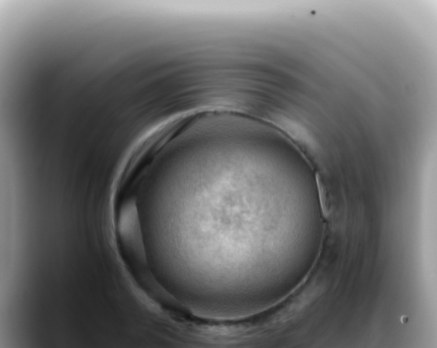 X0000088740792200706071659