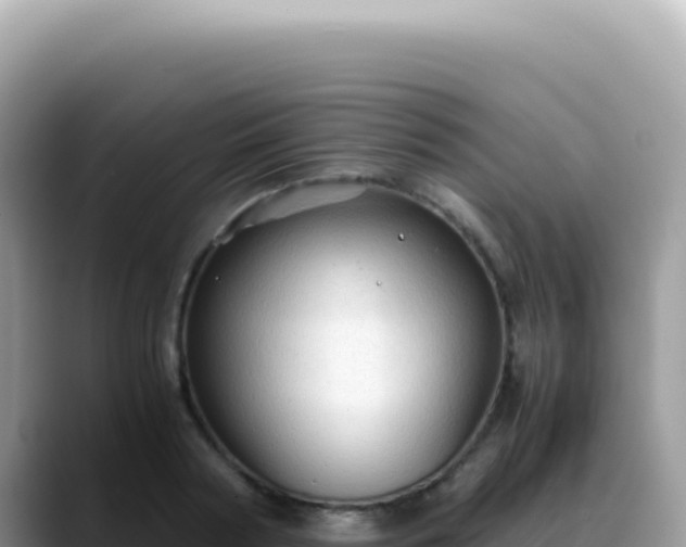 X0000088740794200706071659