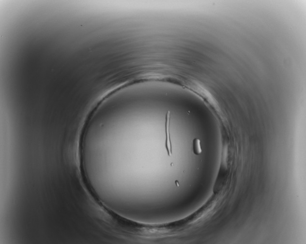 X0000088740795200706071659