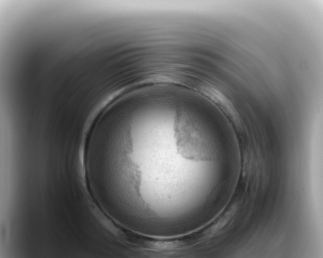 X0000088740796200706071659