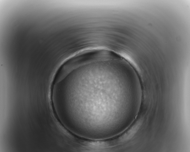 X0000088740797200706071659