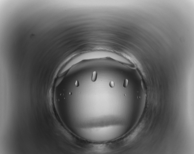 X0000088740798200706071659